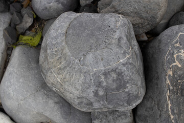 Large Boulder with a Fossilized Ammonite Imprint © Josh
