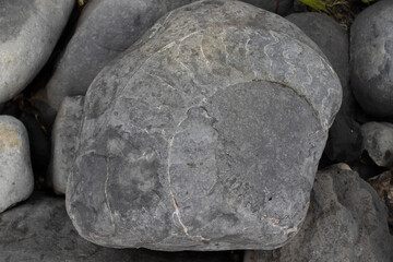 Large Boulder with a Fossilized Ammonite Imprint © Josh