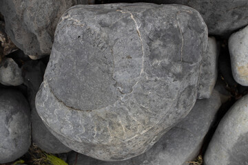Large Boulder with a Fossilized Ammonite Imprint © Josh