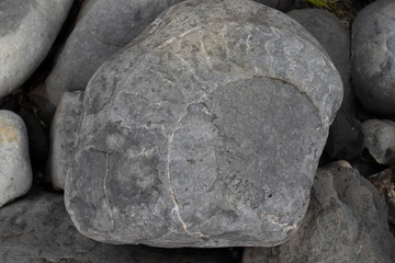 Large Boulder with a Fossilized Ammonite Imprint © Josh