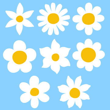 Cute White Daisy Floral Elements Set, Spring Chamomile Flower Vector Illustration