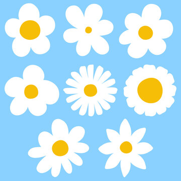 Hand Drawn Daisy Flowers Set, Cute White Chamomile Spring Floral Vector Illustration