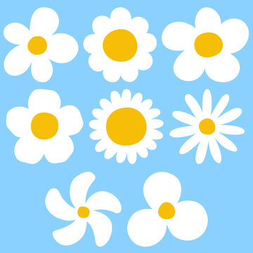 Cute Chamomile Floral Elements Set, White Daisy Flower Clip Art Vector Illustration