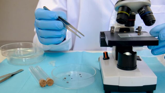 The tick laboratory is conducting an analysis. Selective focus.
