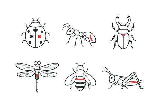 Collection of six stylized insects including a ladybug, ant, beetle, dragonfly, bee, and grasshopper