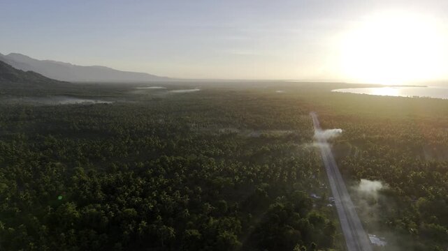 Aerial drone view of Coastal plain of Brooke's Point with a highway and coconut plantation at sunrise