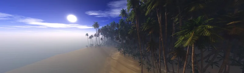 Wild shore with palm trees, wild Indian beach, palm trees in the mist at sunrise, 3D rendering. © ustas