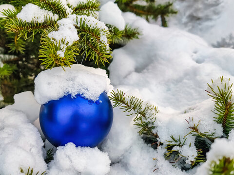 A blue ornament sits among snow on a Christmas tree. It is winter, and the tree has decorations. The scene shows the holiday spirit and nature