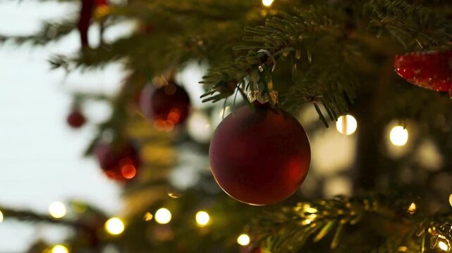 Festive holiday pine tree branch adorned with matte red ball decorations and shimmering warm fairy lights in the background.