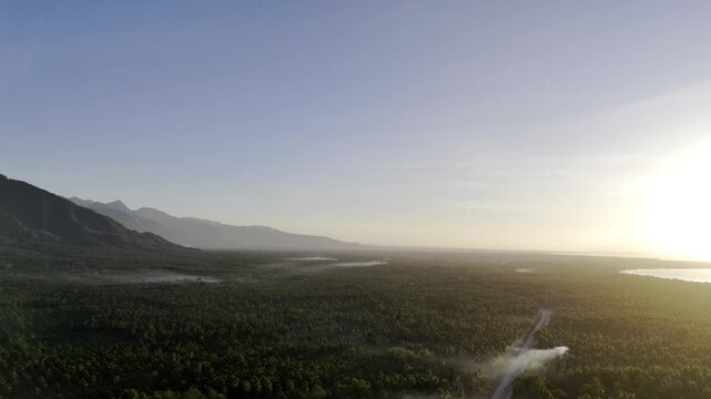 Aerial drone view of Brooke's Point coastal plain with coconut plantations and mountains at sunrise
