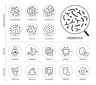 Gut health and digestions  icon set for design, branding, presentation. The outline vector icons are well scalable and editable for packaging label design. Ready for your design. EPS10.