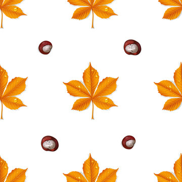 Seamless pattern from autumn yellow chestnut leaves and chestnuts