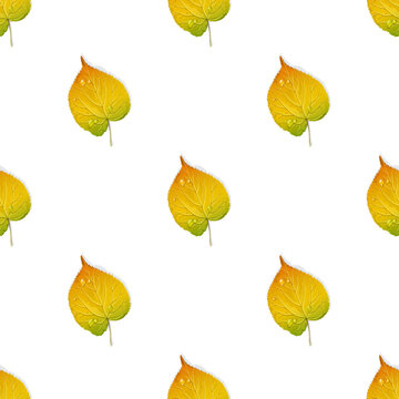 Seamless pattern from yellow  and green autumn leaves on white background