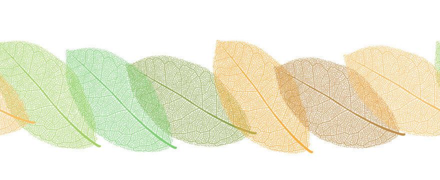 Seamless border from autumn or summer leaves with thread