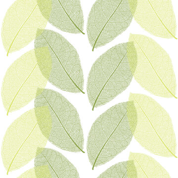 Seamless pattern from green and salad green spring or summer leaves with thread