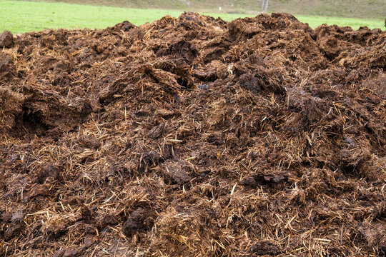 Compost manure organic fertilizer