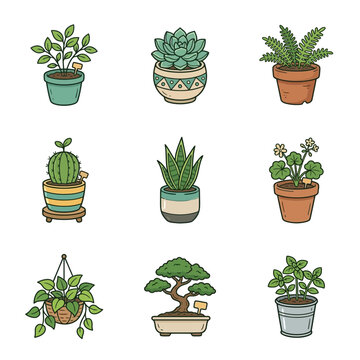 Vector collection of various indoor potted plants and succulents isolated on white.