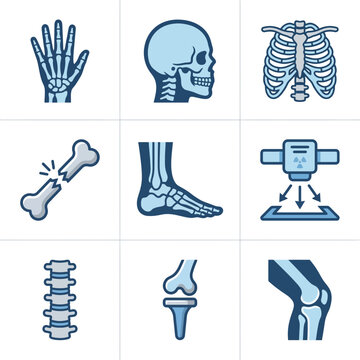 Medical X-ray Radiology and Human Bone Anatomy Orthopedic Icon Set