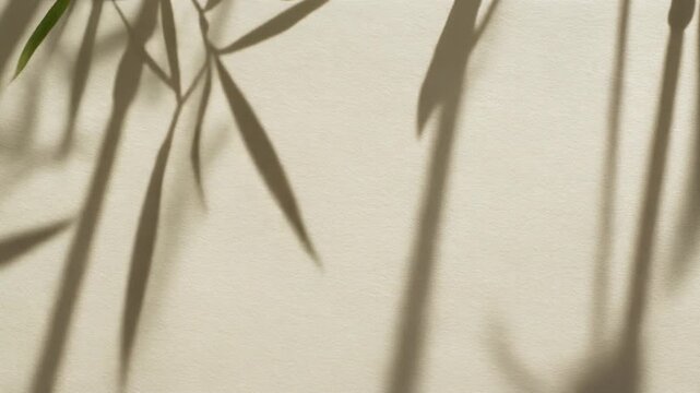 Soft Shadows of Green Bamboo Leaves on a Textured Beige Wall - Abstract Nature Background