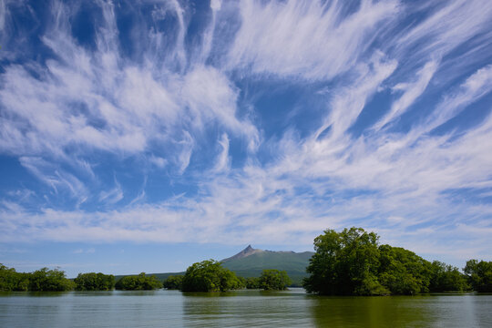 夏空に浮かぶ雲
