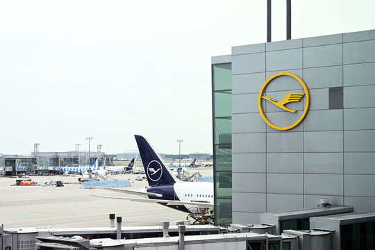 Lufthansa airplanes parked at Frankfurt international airport terminal