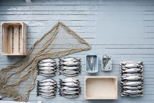 Rustic Arrangement of Fresh Sardines, Nets, and Wood Tray