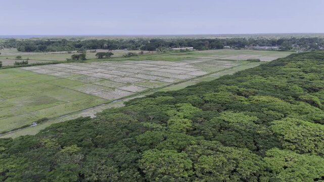 Aerial drone view of Acacia canopy opening to the wide coastal plain of Southern Palawan