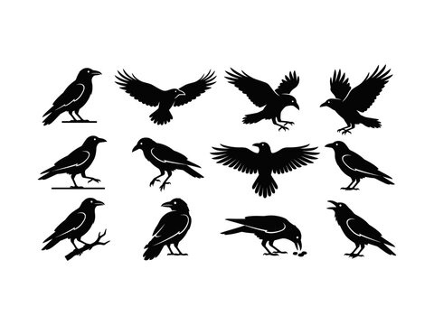 Twelve black silhouette crows and ravens in various poses for spooky Halloween themes.