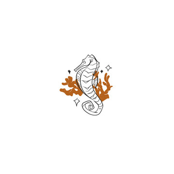 Seahorse with Coral Hand Drawn Vector Illustration, Ocean Marine Life Coastal Summer Nautical Line Art, Underwater Sea Animal Decorative Design
