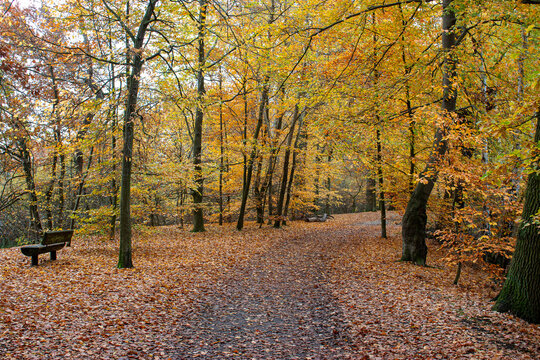 Herbst im Park