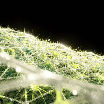 Abstract green and white microscopic fibrous network covered with shiny water droplets against a black background