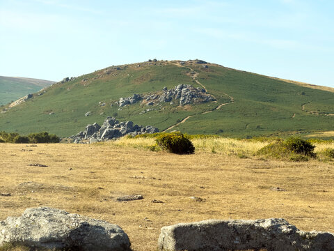 Dartmoor Devon UK. 11.08.2026. Bonehill Down  in Dartmoor National Park Devon England UK. Popular area for walkers and tourists to visit.