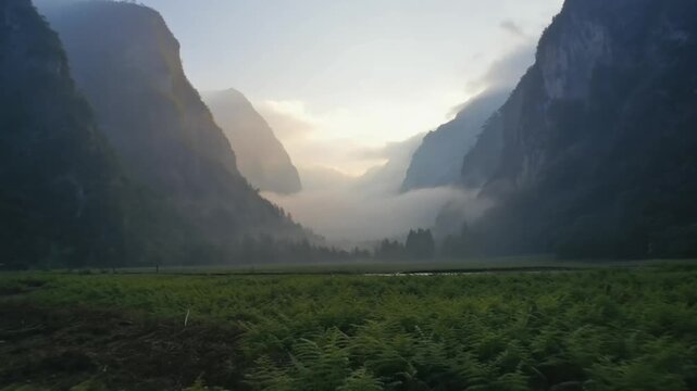 Gen-4 cinematic slow zoom through the mist in the valley, light penetrating fog with ambient birdsong and soft breeze 3528254574