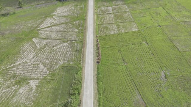 Aerial drone view of Long straight national highway stretching across the open plain of Southern Palawan