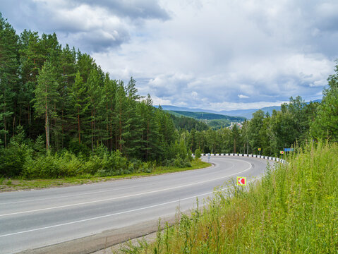 Scenic Curved Asphalt Road Through Evergreen Forest Under a Cloudy Sky