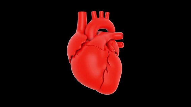 A 3D digital model of a bright red human anatomical heart beating steadily on a solid black background. 