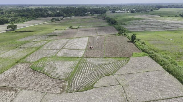 Aerial drone view of Tractor plowing a field as egrets feed on freshly turned soil in Southern Palawan