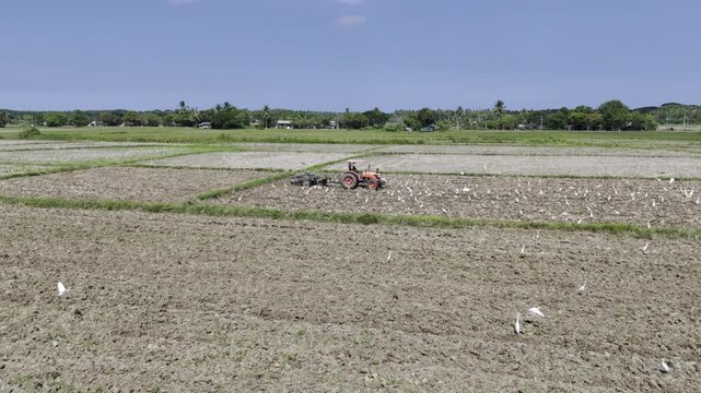Aerial drone view of Tractor plowing a rice field as egrets feed and fly around Southern Palawan
