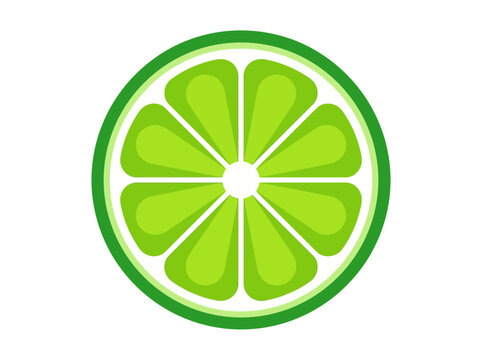 Vibrant Lime Fruit Cross Section Vector