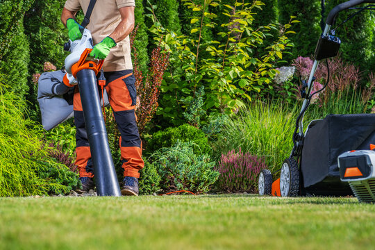 Man using leaf blower in garden during sunny day