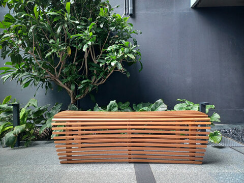 Modern slatted wooden bench in a tropical courtyard garden.