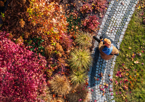 Gardener uses leaf blower in garden during autumn afternoon