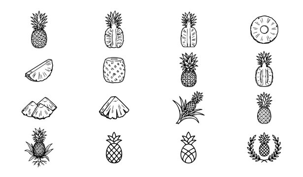 pineapple, tropical, fruit, sliced, cut, half, sketch, handdrawn, lineart, outline, botanical, organic, vegetarian, vitamin, healthy, sweet, food, fresh, juicy, tropical, crown, leaves, monoline, vect