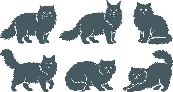 Longhair cat breeds silhouette vector icon set featuring persian maine coon and british shorthair poses