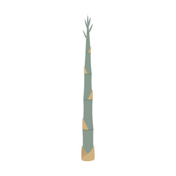Bamboo shoot icon showing a fresh plant on white background