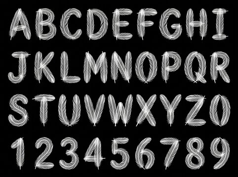 Elegant White Feather Alphabet and Numerals Collection for Creative Design and Learning Projects