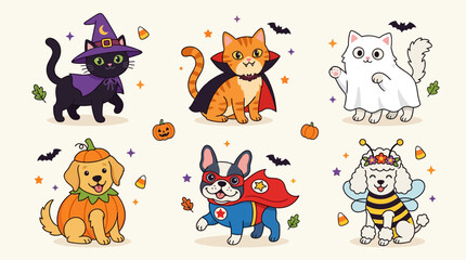 Fototapeta premium Cute pets in Halloween costumes posing with pumpkins and festive decorations on white background