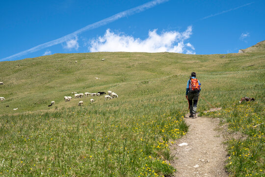 Wanderung auf dem Wendelin- Weingartner Weg durch Bergwiesen auf das Figerhorn in den Hohen Tauern 3