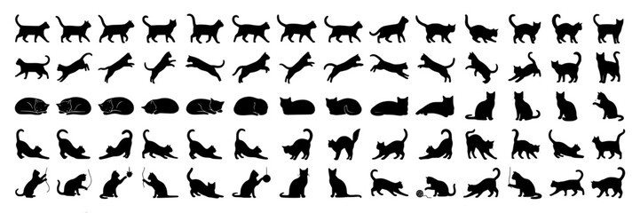 Obraz premium Black cat silhouettes in various poses