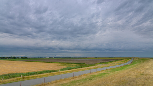 Dutch landscape with a road and grassland.